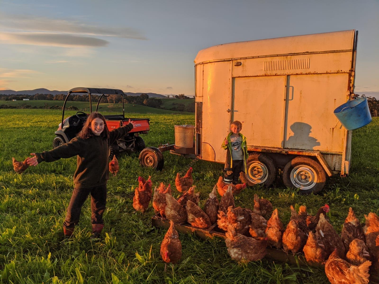 Shakespeare Hills Pastured Eggs